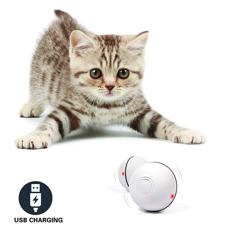 Funny Cat Toy Ball LED Laser Electronic Rolling