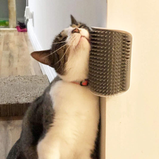 Cat Self Groomer Cat Brushes Wall Corner For Shedding Grooming,