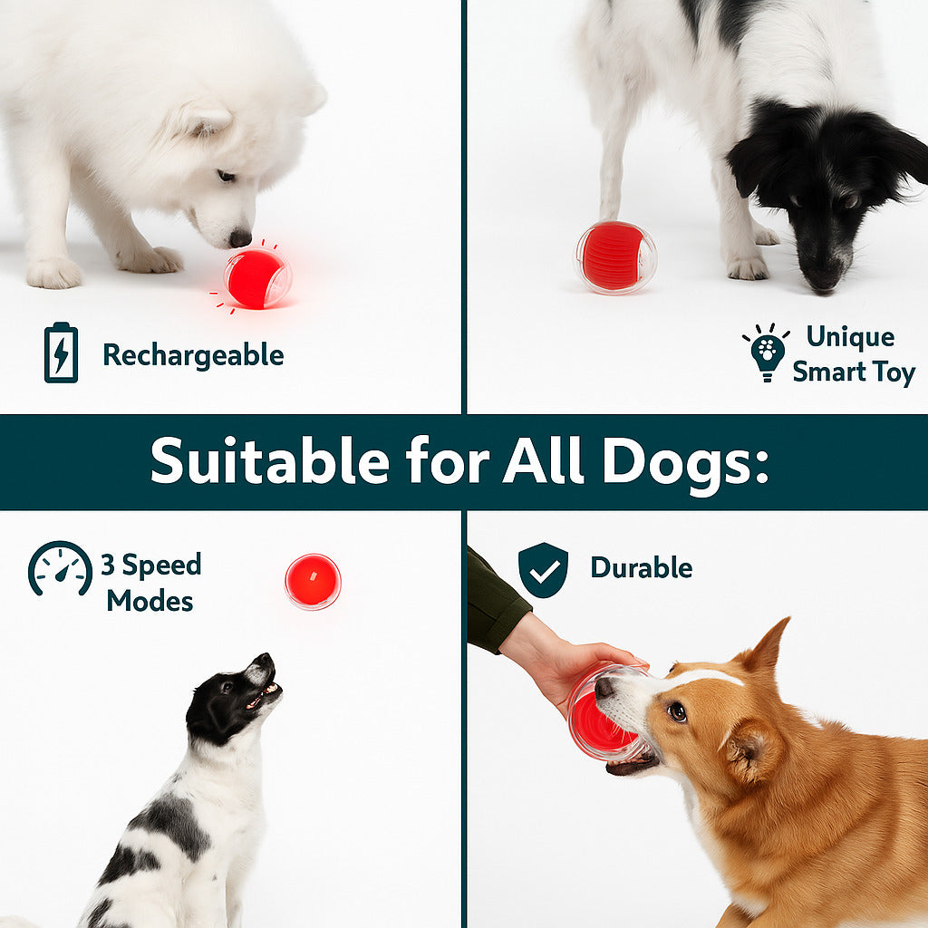 Interactive Smart Rolling Ball Toy for Dogs & Cats | Automatic 360° Pet Ball for Active Play & Exercise