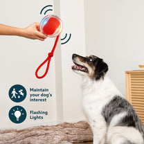 Interactive Smart Rolling Ball Toy for Dogs & Cats | Automatic 360° Pet Ball for Active Play & Exercise
