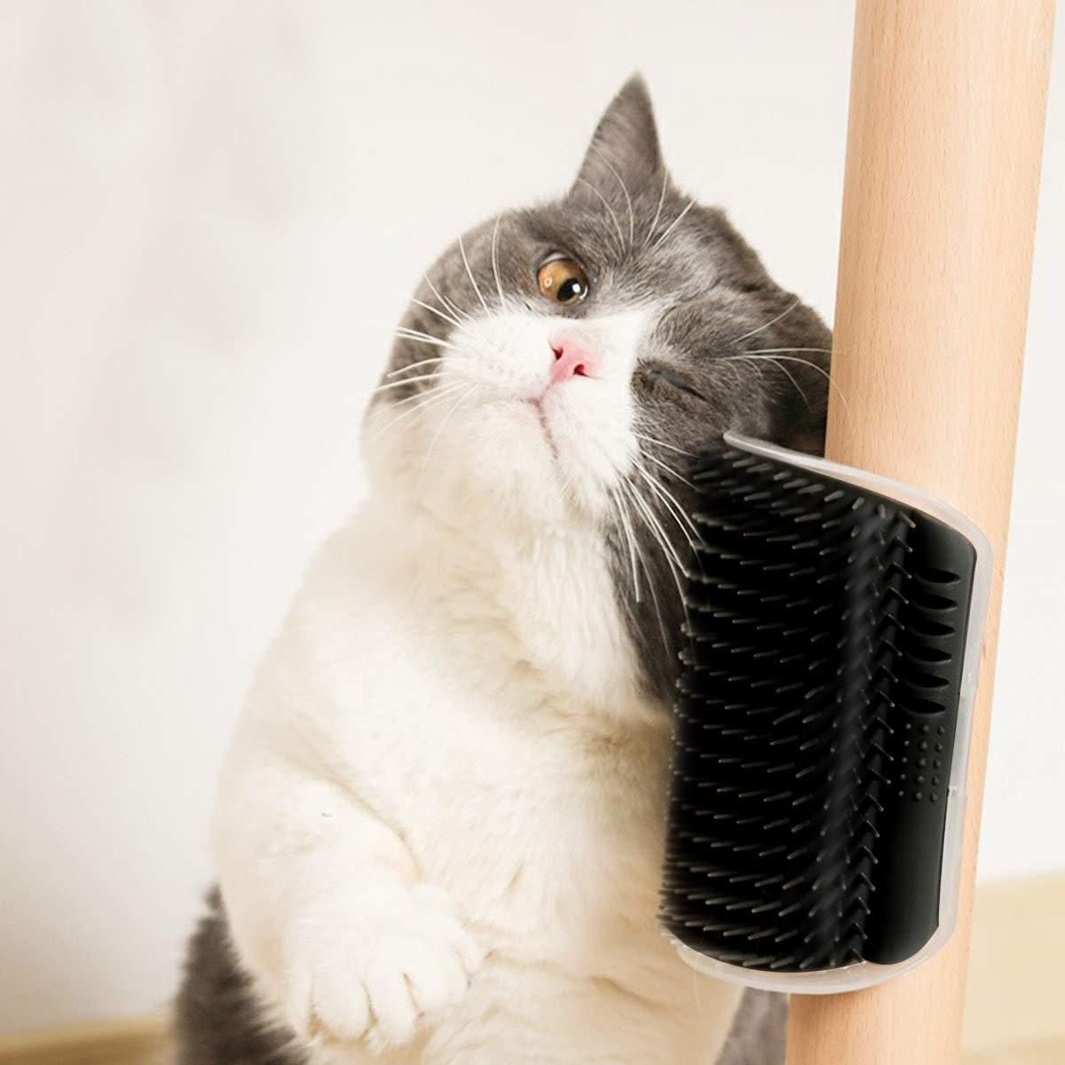 Cat Self Groomer Cat Brushes Wall Corner For Shedding Grooming,