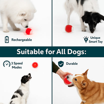 Interactive Smart Rolling Ball Toy for Dogs & Cats | Automatic 360° Pet Ball for Active Play & Exercise